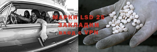стаф Гусев