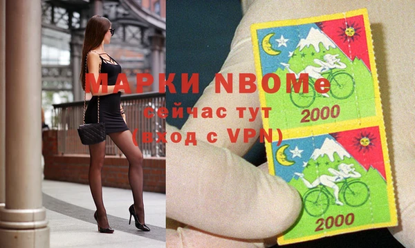 стаф Гусев