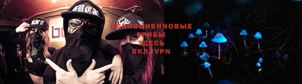 стаф Гусев