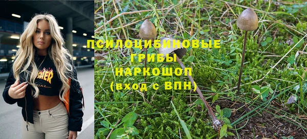 стаф Гусев