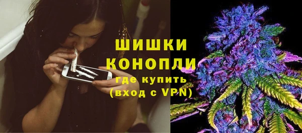 трава Гусиноозёрск
