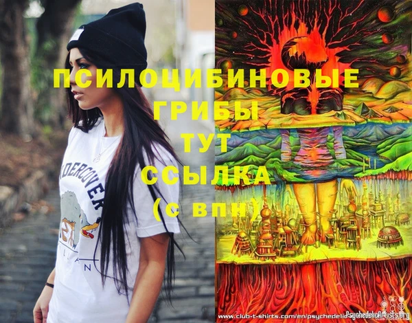 трава Гусиноозёрск