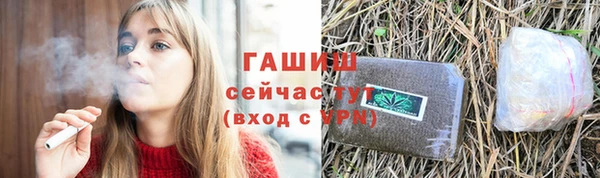 стаф Гусев