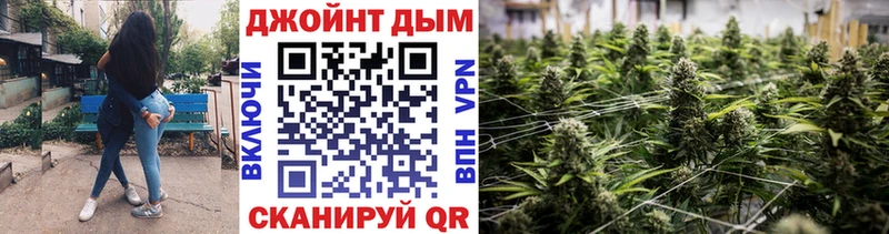 где продают   Невьянск  Каннабис сатива 